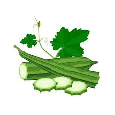 Sponge gourd